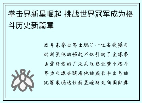 拳击界新星崛起 挑战世界冠军成为格斗历史新篇章